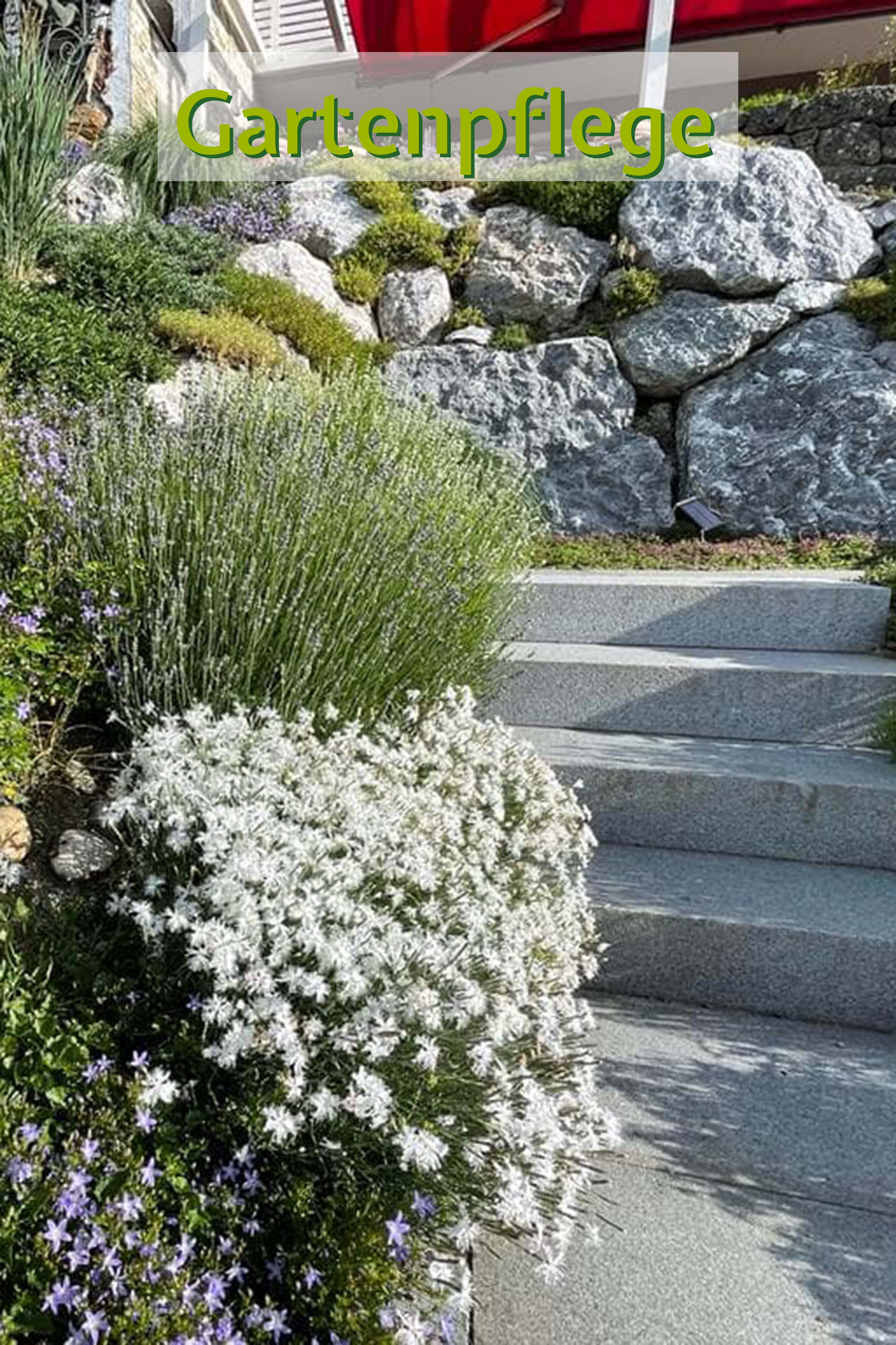 Gartenpflege